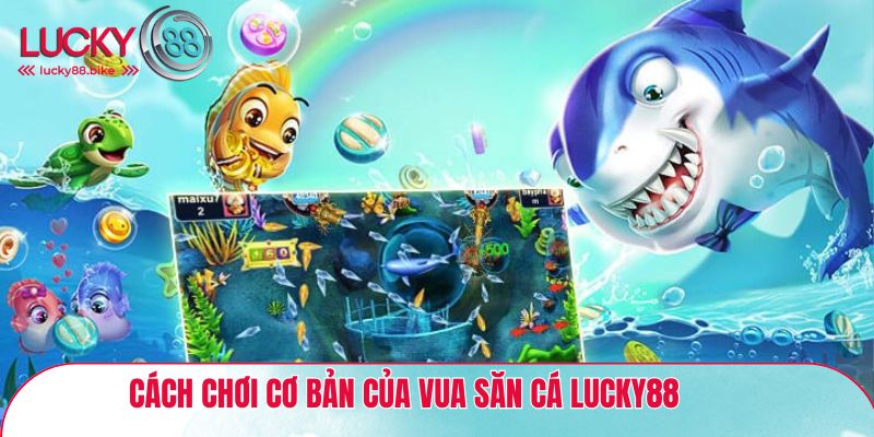 Giới thiệu cách chơi cơ bản