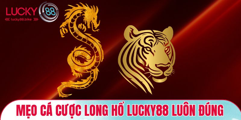 Kinh nghiệm cá cược long hổ Lucky88 luôn đúng