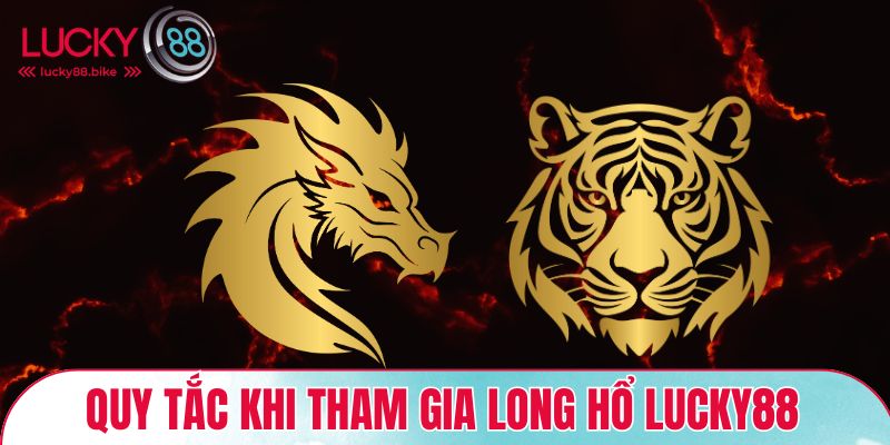 Quy tắc khi tham gia long hổ Lucky88