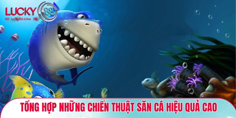Chiến thuật chơi vua săn cá LUCKY88