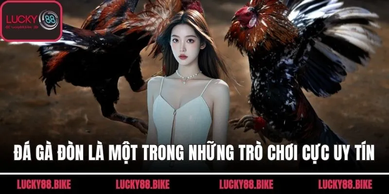Đá gà đòn là một trong những trò chơi cực uy tín